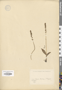 LE 01029078