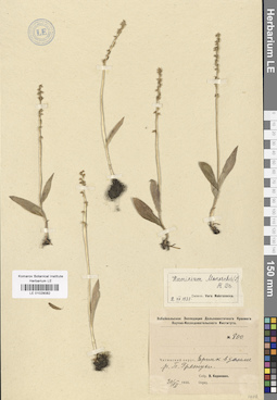 LE 01029082