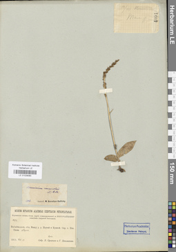 LE 01029083