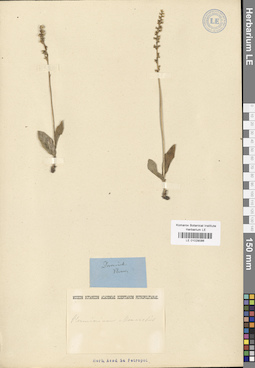 LE 01029086