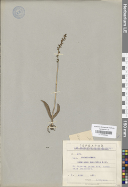 LE 01029090