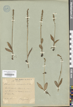 LE 01029091