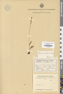 LE 01029093