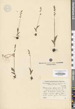 LE 01029100