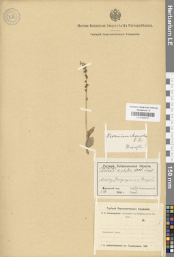 LE 01029101