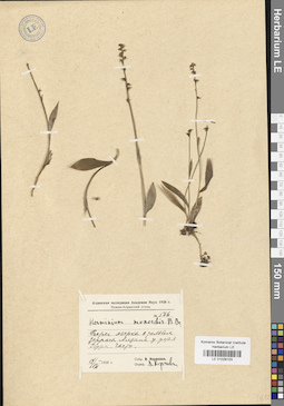 LE 01029103