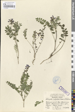 LE 01094445
