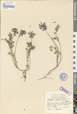 LE 01094446
