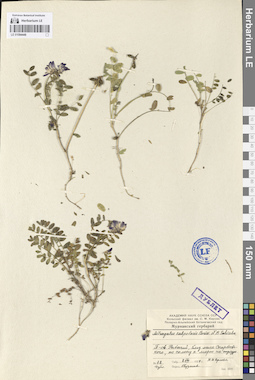 LE 01094448