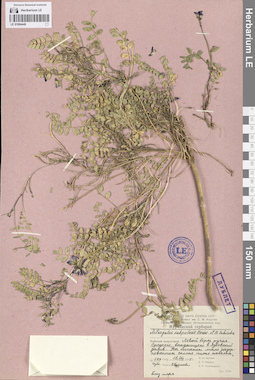 LE 01094449