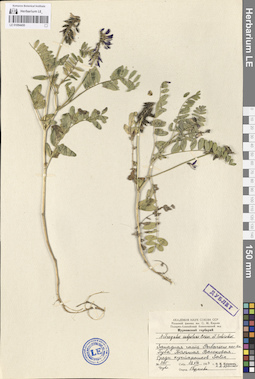LE 01094450