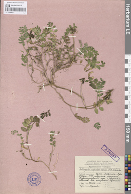 LE 01094451