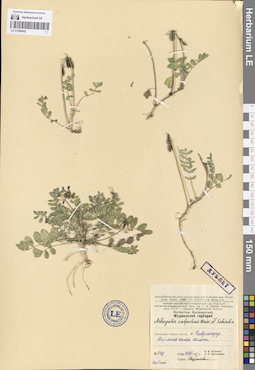 LE 01094452