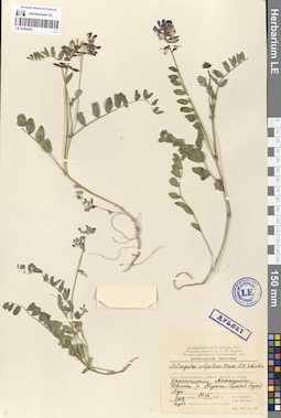 LE 01094453
