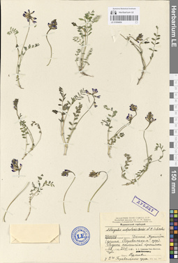 LE 01094454