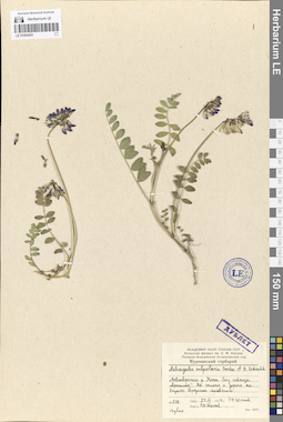 LE 01094455