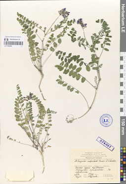 LE 01094456