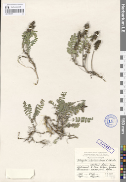 LE 01094457
