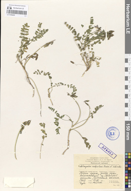 LE 01094458