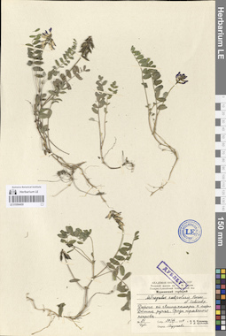 LE 01094459