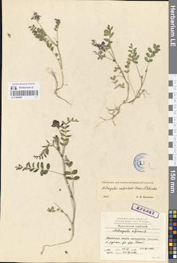 LE 01094460