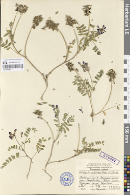 LE 01094462