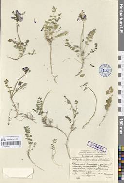 LE 01094467