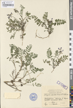 LE 01094469