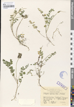 LE 01094470