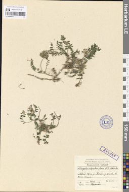 LE 01094471