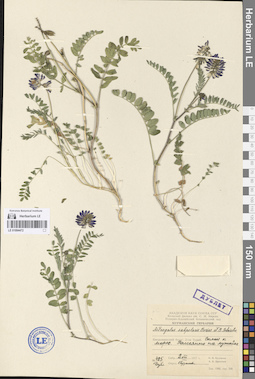 LE 01094472