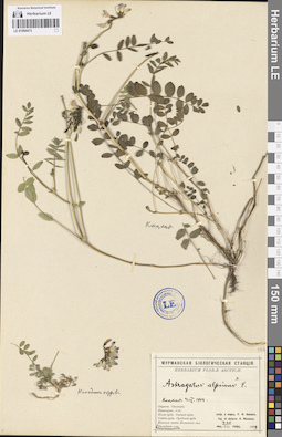 LE 01094473