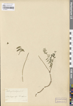 LE 01094474