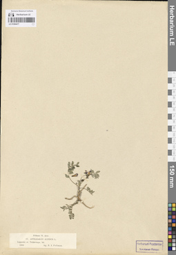 LE 01094477