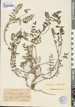 LE 01094478