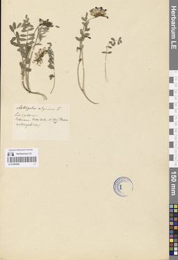 LE 01094480