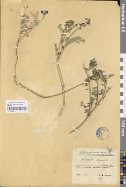LE 01094483