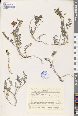 LE 01094484
