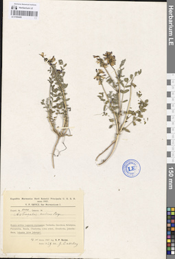 LE 01094485