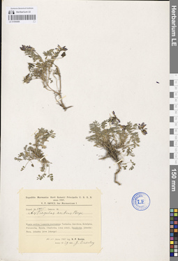 LE 01094486