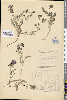 LE 01094488