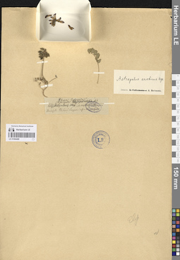 LE 01094489