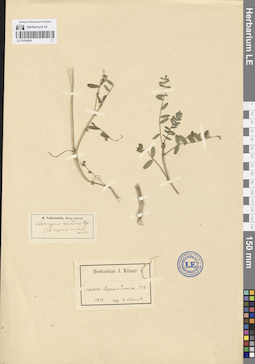 LE 01094490