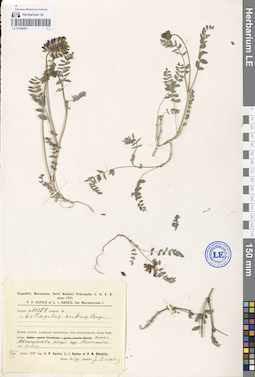 LE 01094491