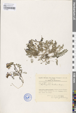 LE 01094492