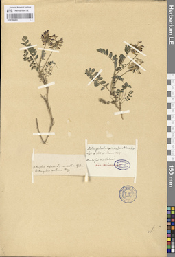 LE 01094493