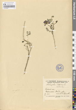 LE 01094495