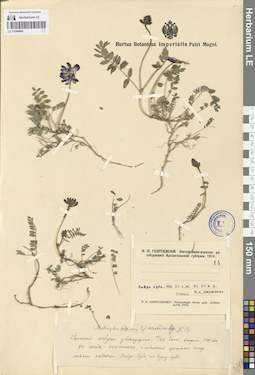LE 01094496