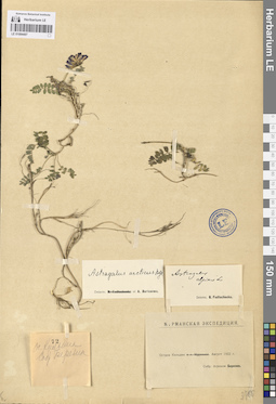 LE 01094497