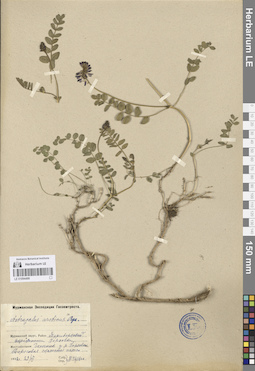 LE 01094499